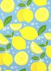 V47012 - Lemons Roll Wrap 10/PK